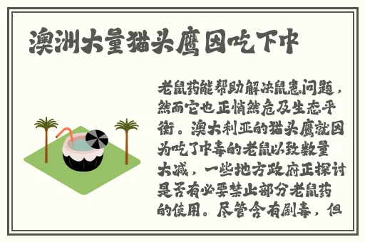 97久久精品国产精品亚洲